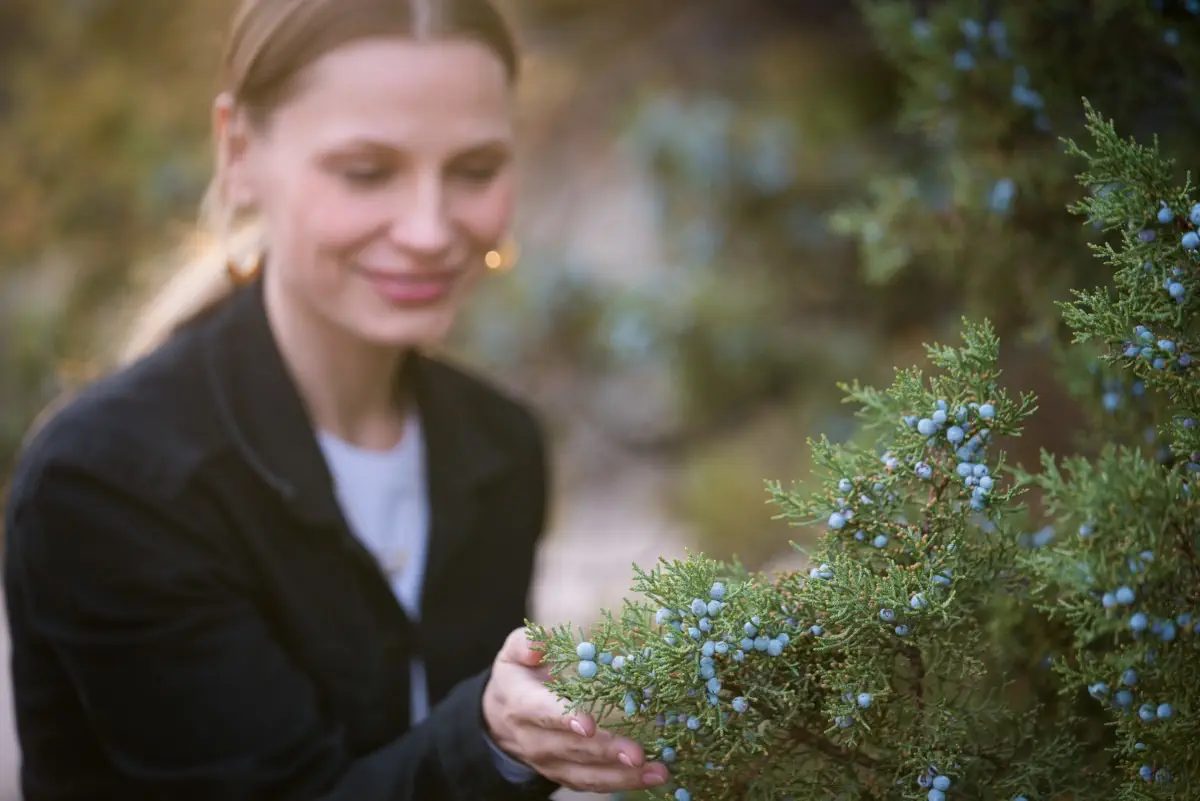 Juniper Preserve